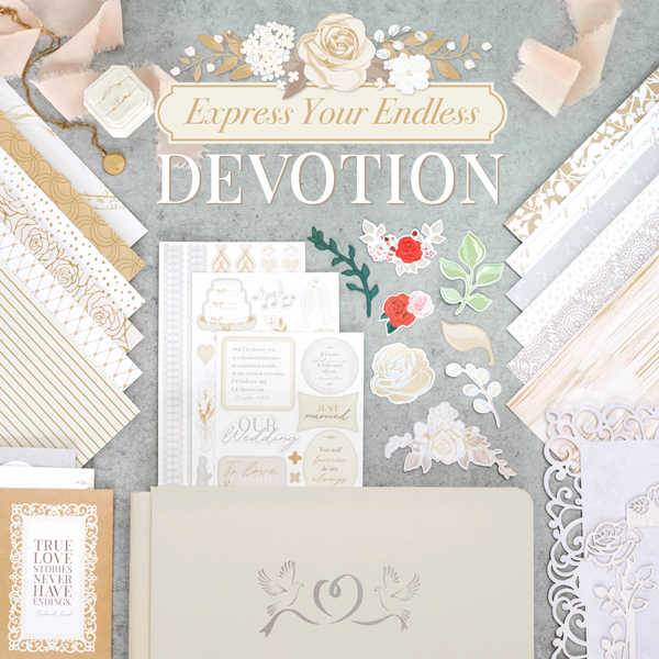 Mid-February Product Launch