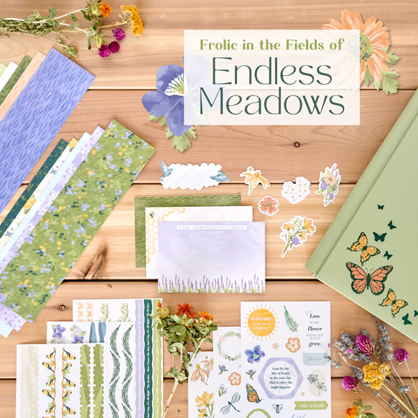 Image of: March 2022 Product Launch