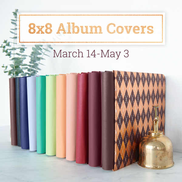 Image of: Limited Edition 8X8 Album Covers